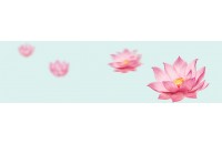 VÉ KHUYẾN MẠI CỦA VIETNAM AIR